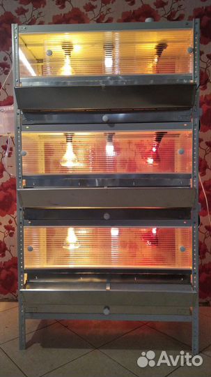 Клетки и брудеры для кур и перепелов