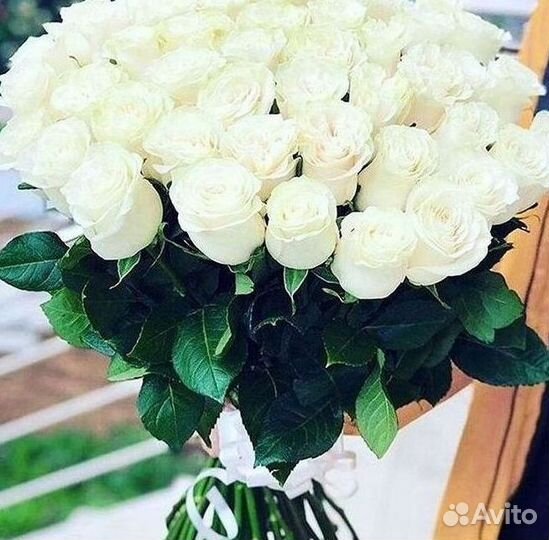 Розы Цветы Букеты 25 51 151 201 101 301 501 опт