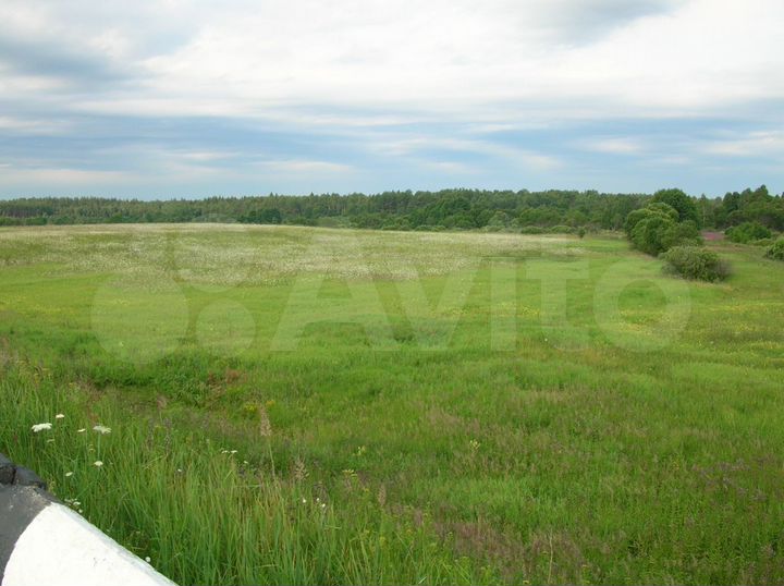 Участок 6 га (СНТ, ДНП)