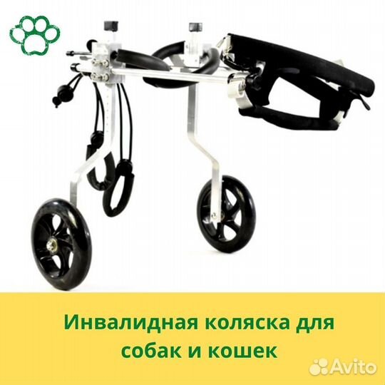 Инвалидная коляска для большой собаки
