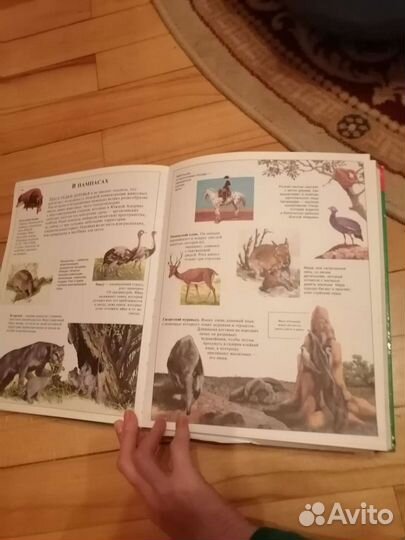 Энциклопедии и книги про животных