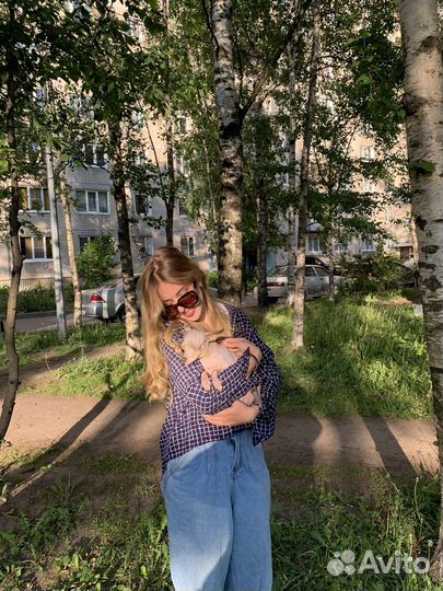 Выгульщик собак