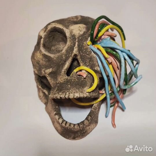 Радужный череп