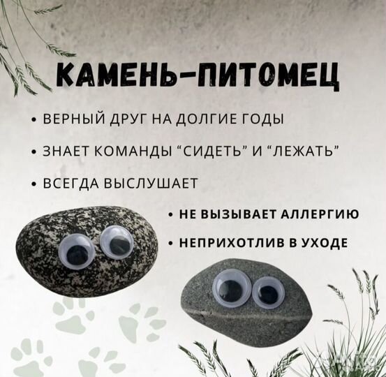 Питомец камень