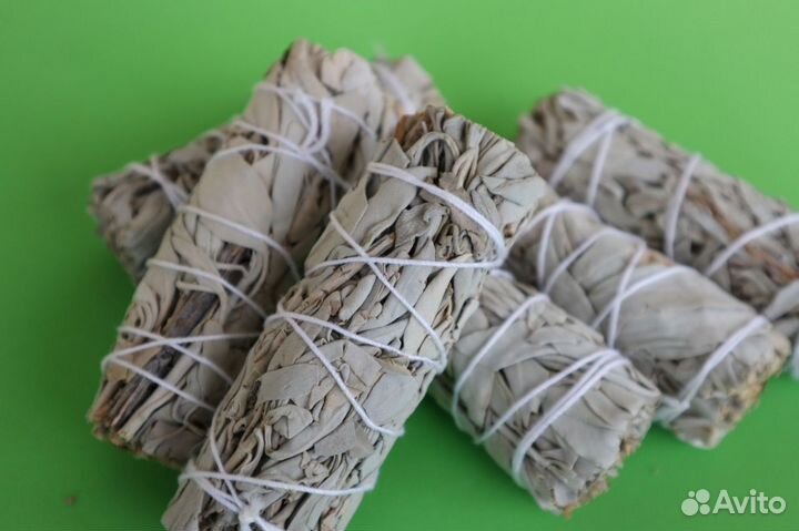 Шалфей Белый от 20шт опт для Вайлберис