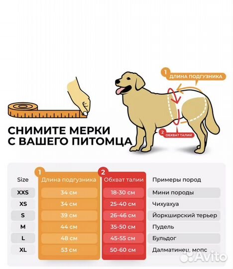 Подгузники для собак женского пола XS