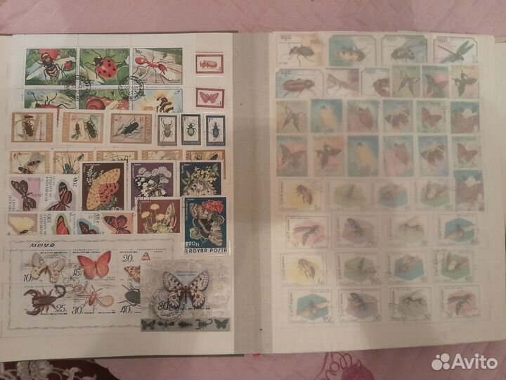Марки фауна альбом бабочки