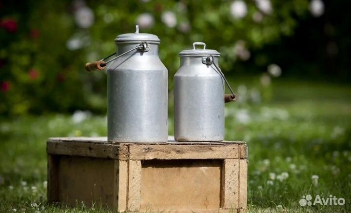 Фермерское молоко оптом