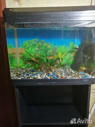 Аквариум