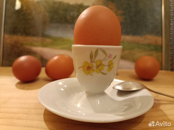 Пашотница фарфор Дулево