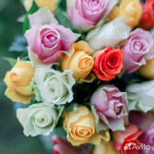 25 роза микс 40см Кения