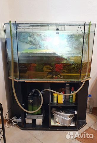 Аквариум 260л. б/у с тумбой и выносным фильтром