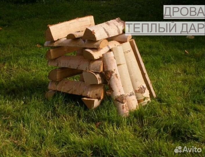Дрова сухие
