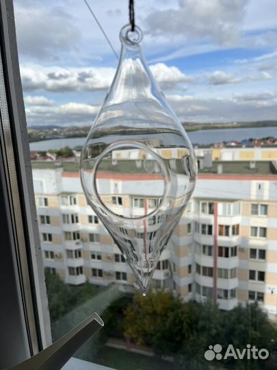 Ваза суккуленты флорариум лампа