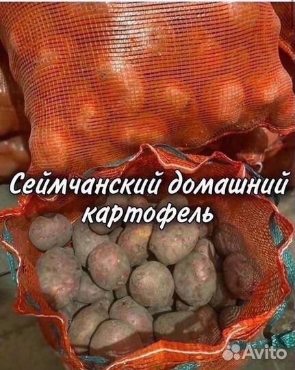 Сеймчанский картофель