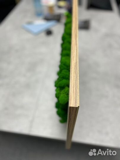 Декоративные панели со стабилизированным мхом