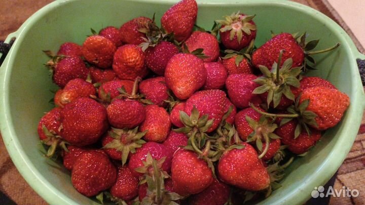 Клубника свежая