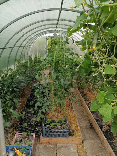 Дом 50 м² на участке 15 сот.