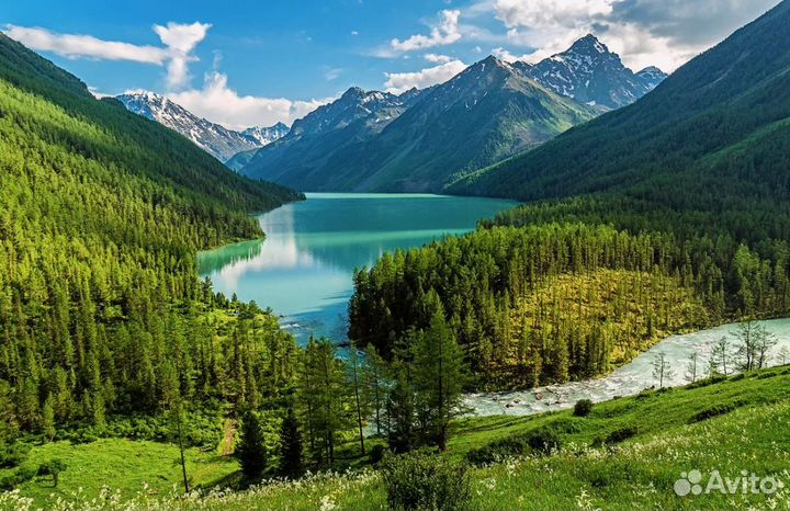 Путешествие Горный Алтай 6 нч