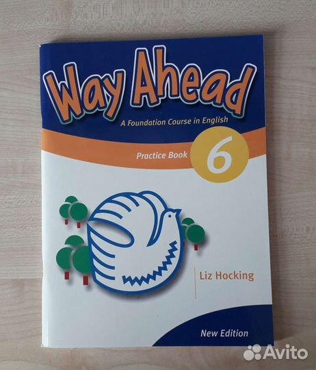 Way ahead 6 workbook + practice book
