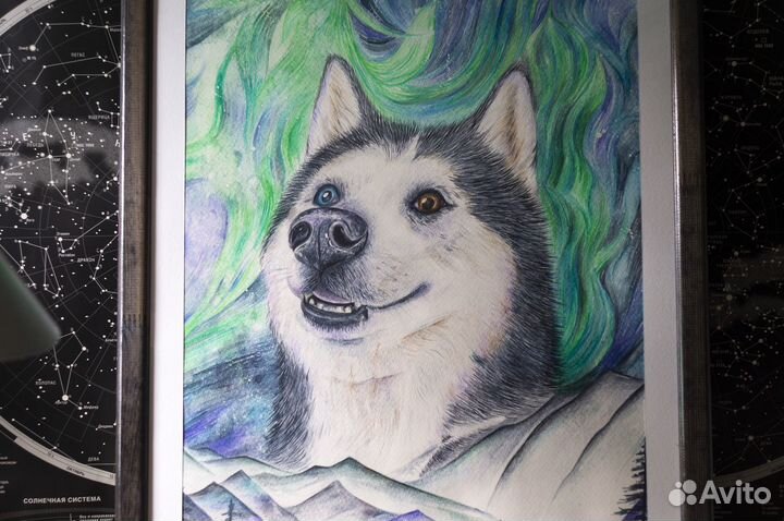 Портрет домашнего питомца, кота, собаки на заказ