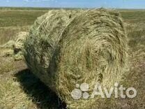 Продам сено в тюках