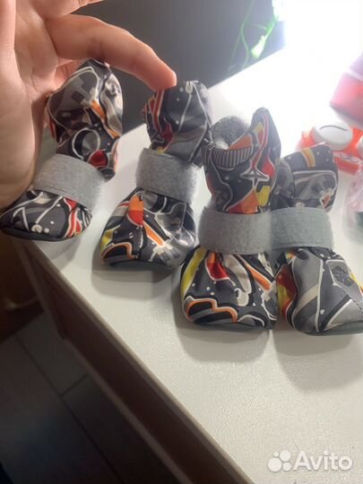 Ботинки для маленьких собак