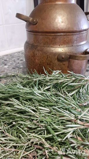 Гидролат сбор 2022-2023