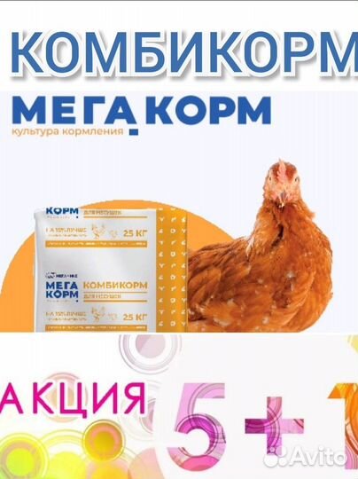 Стартовые комбикорма с доставкой