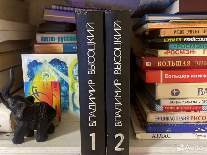 Книги Высоцкий