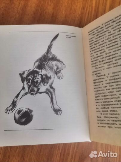 Книга О чем лают собаки