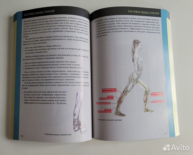 Анатомия силовых тренировок для женщин.Делавье