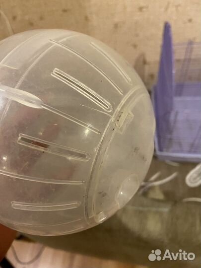 Шар для хомяка