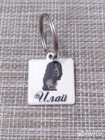 Адресник для собак