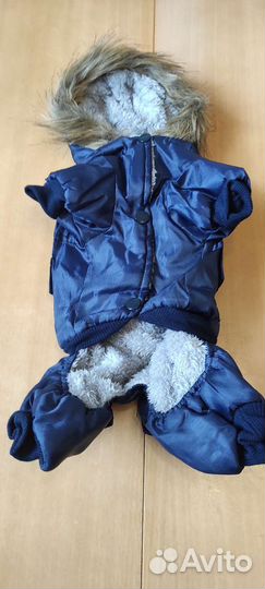 Зимний комбинезон для собак малых пород