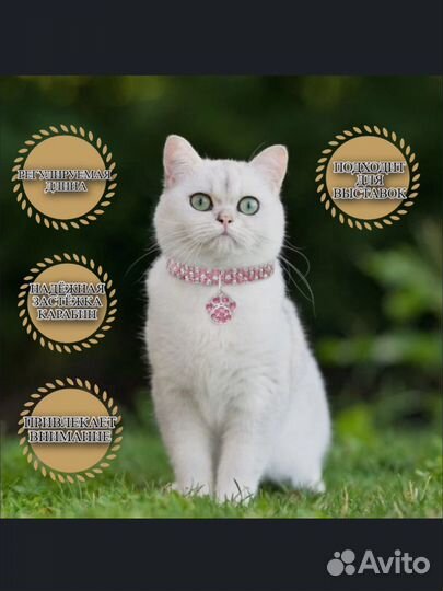 Ошейник для собак и кошек