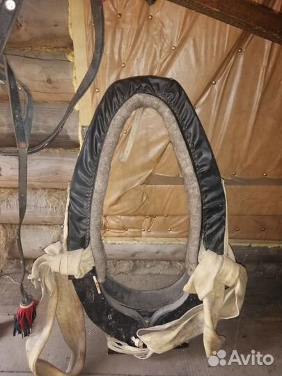 Сбруя для лошади, выездная