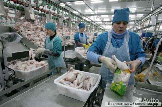 Упаковщики продукции в Пермь (питание/жилье)