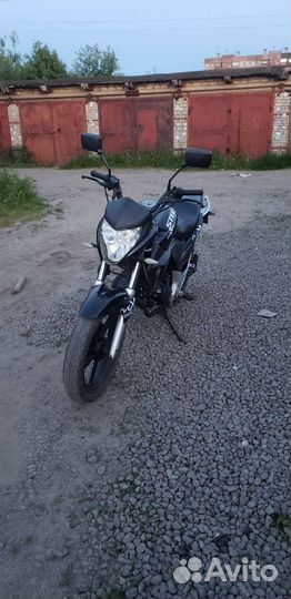 Stels Flex 250
