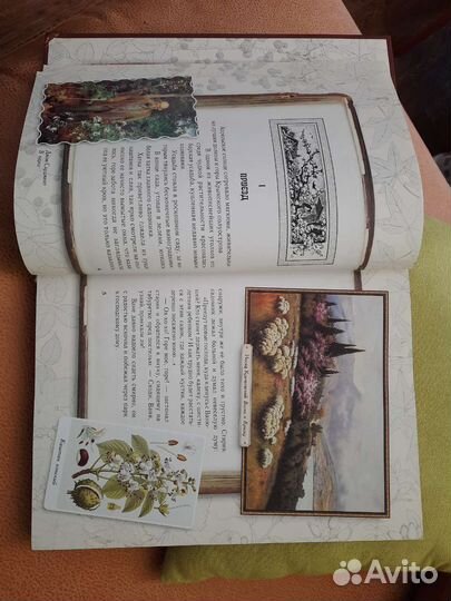 Среди цветов. Рассказы старого садовника