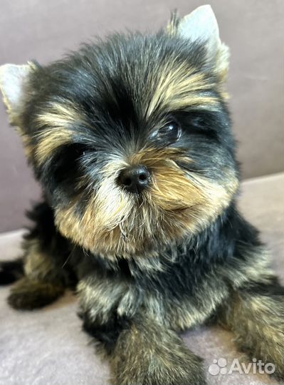 Супер красивый мальчик