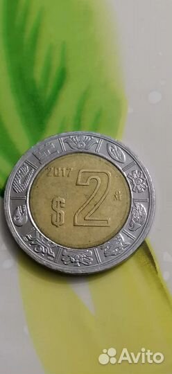 Пессо мексика