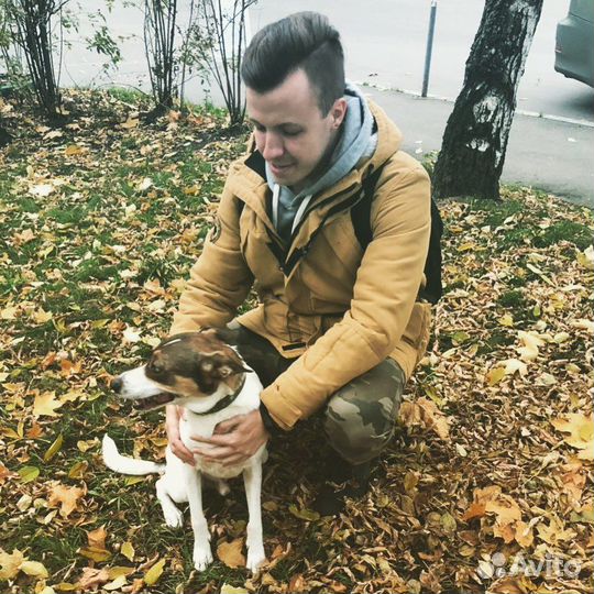 Менеджер кафе/бариста/бармен