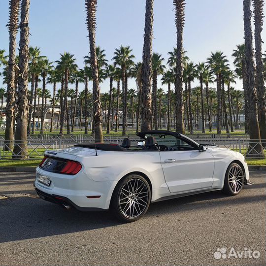 Аренда кабриолета, прокат авто Ford Mustang белый