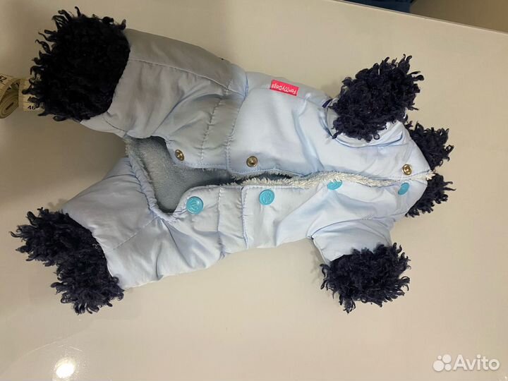 Одежда для маленьких собак