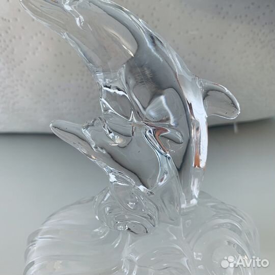 Королевские дельфины, Франция