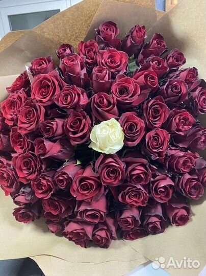 51 роза Крупная Эквадор