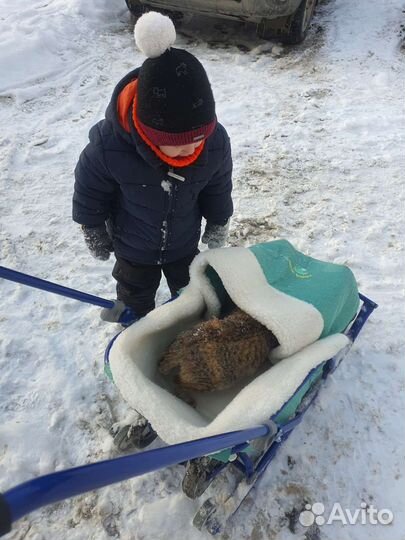 Детские санки с колесами