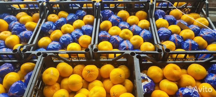 Фрукты оптом