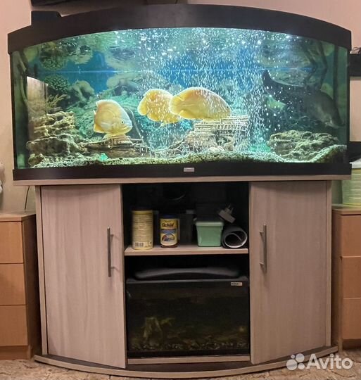 Аквариумный комплекс juwel vision 450 + доп